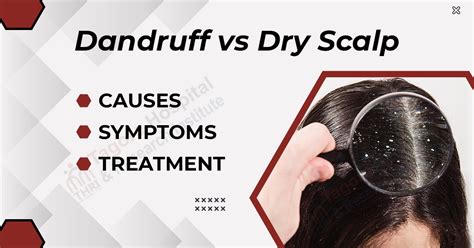 dandruff traduction|disadvantages of dandruff.